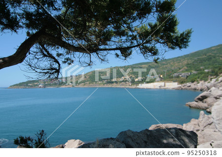 Seaside mountain scenery. A tree growing on the rocks by the water. Mountain Cat, Crimea, Ukraine 95250318