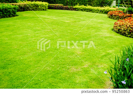 Path in lush and beautiful gardens, green lawns, Front lawn for background, Garden design, Beautiful shady landscape, House with garden, Garden with a Freshly Mowed Lawn. Path in lush and beautiful gardens, green lawns, Front lawn for background, Garden design, Beautiful shady landscape, House with garden, Garden with a Freshly Mowed Lawn. 95250863