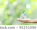 Young plant on crystal globe in hand with green background, concept for eco friendly business, green energy and climate change. 95251090
