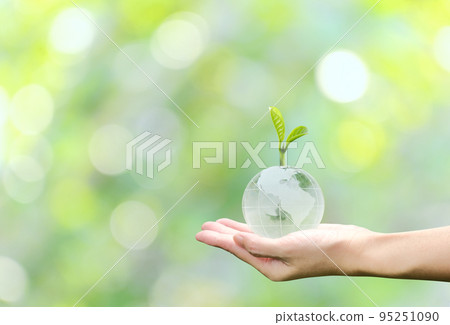 Young plant on crystal globe in hand with green background, concept for eco friendly business, green energy and climate change. 95251090