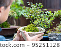 Middle-aged men appreciating potted plants 95251128