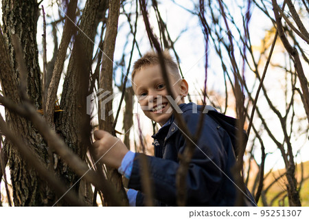 A mischievous boy in a blue jacket climbs a tree between branches A mischievous boy in a blue jacket climbs a tree between branches 95251307