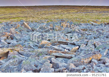 Chaotic accumulation of stones that are pushed to surface by permafrost. Novaya Zemlya archipelago, Russian Arctic Chaotic accumulation of stones that are pushed to surface by permafrost. Novaya Zemlya archipelago, Russian Arctic 95251761