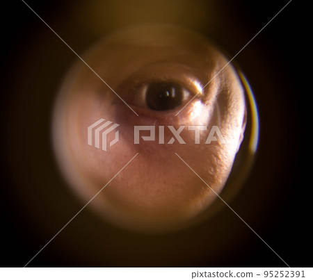 View from the peephole. The human eye looks through the peephole from the flight cage. Close-up 95252391
