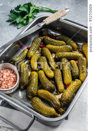 Homemade marinated pickled cucumbers with dill, garlic and spices in big kitchen tray. Gray background. Top view Homemade marinated pickled cucumbers with dill, garlic and spices in big kitchen tray. Gray background. Top view 95255009