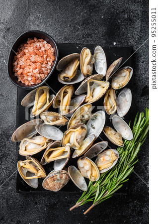 Steamed shellfish Clams with garlic and herbs. Black background. Top view Steamed shellfish Clams with garlic and herbs. Black background. Top view 95255011
