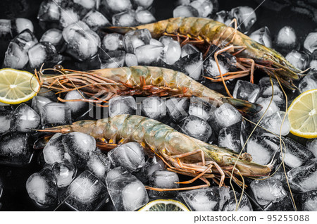 Fresh Black tiger prawns shrimps with lemon on ice. Raw Seafood. Black background. Top view Fresh Black tiger prawns shrimps with lemon on ice. Raw Seafood. Black background. Top view 95255088