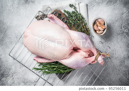 Ready for cooking whole duck with thyme and rosemary. Gray background. Top view Ready for cooking whole duck with thyme and rosemary. Gray background. Top view 95256011