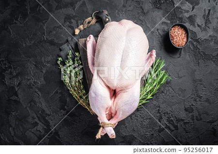 Fresh Raw whole duck with herbs and spices. Black background. Top view Fresh Raw whole duck with herbs and spices. Black background. Top view 95256017