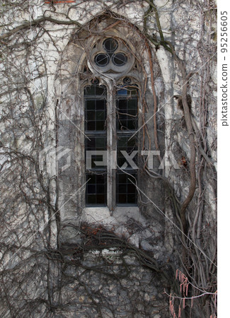 Detail of a Gothic window covered with branches. 95256605