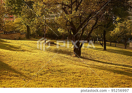 Autumn scenery of Dongchundang Historical Park 95256997