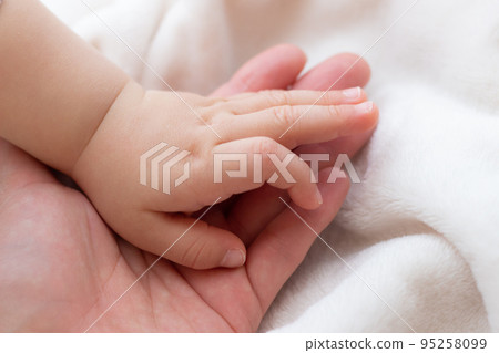 寶貝的小手 寶貝的小手 95258099