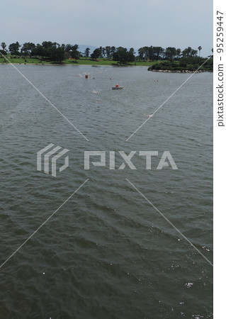 鐵人三項比賽游泳 95259447