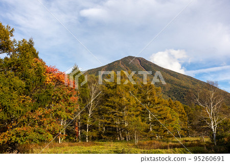 Mount Nantai seen from Oku-Nikko Senjogahara Sanbonmatsu Park 95260691