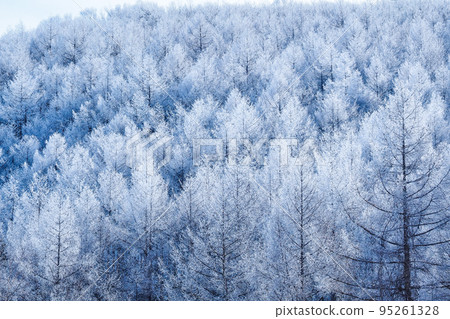 Foggy ice Foggy ice 95261328