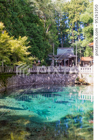 《Yamaguchi Prefecture》Beppu Benten Pond, Akiho-cho, Mine City 95261950