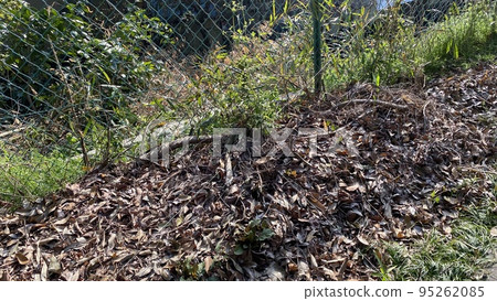 where is the snake? 95262085