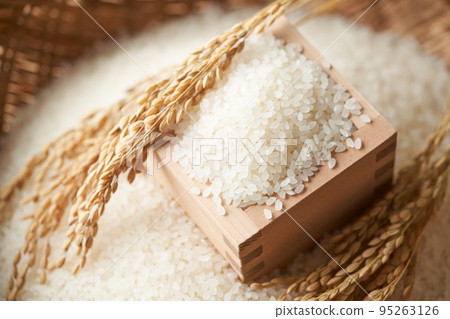 水稻影像 水稻影像 95263126