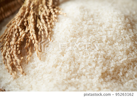 Rice image 95263162