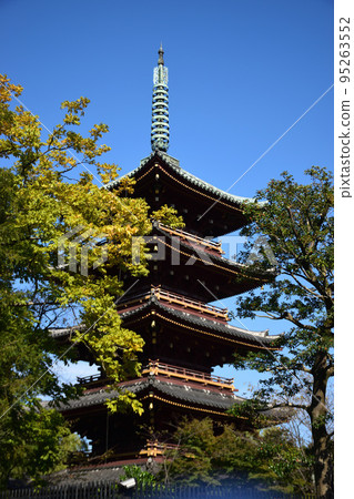 Ueno Toshogu Shrine five-storied pagoda Ueno Toshogu Shrine five-storied pagoda 95263552