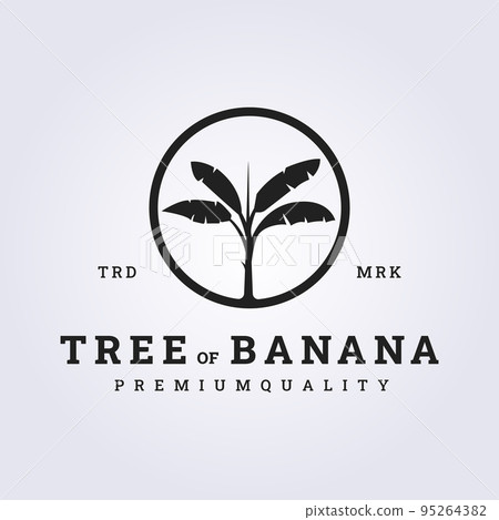 flat vintage banana tree logo vector in badge emblem illustration design flat vintage banana tree logo vector in badge emblem illustration design 95264382