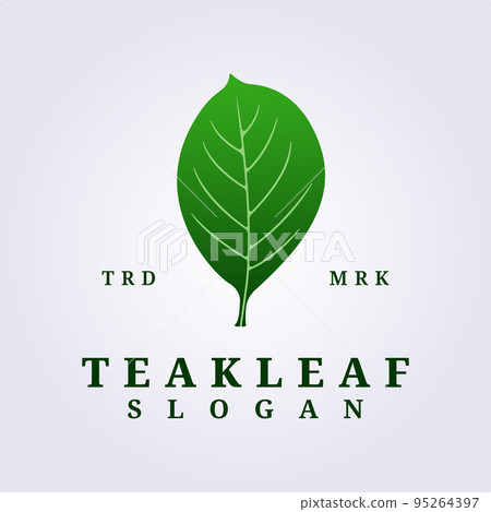 logo of green teak leaf vector illustration design logo of green teak leaf vector illustration design 95264397