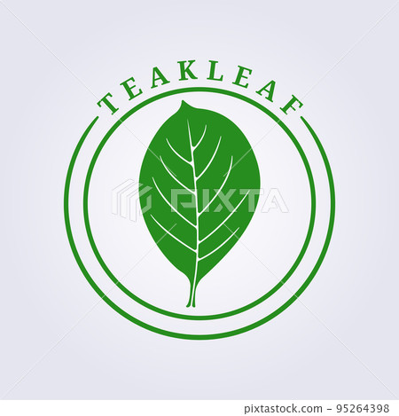 vector of teak leaf logo badge illustration design vector of teak leaf logo badge illustration design 95264398