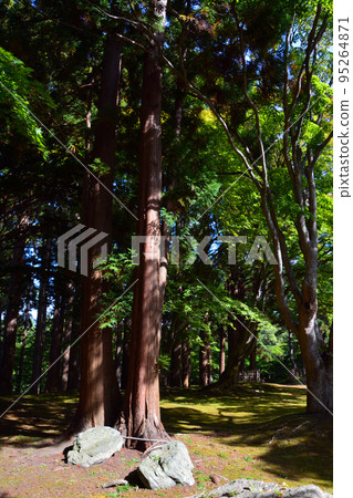 函館三原公園/甲雪園 - 公園內 函館三原公園/甲雪園 - 公園內 95264871