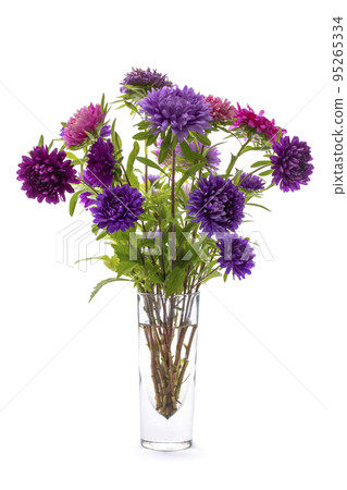 Bouquet of multicolored asters in a glass vase on a white background 95265334
