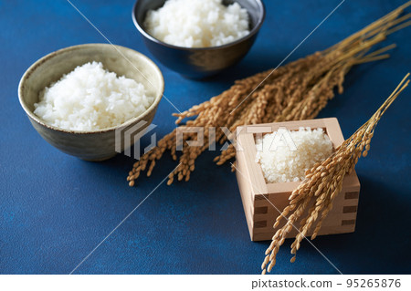 水稻影像 95265876