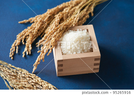 水稻影像 95265916