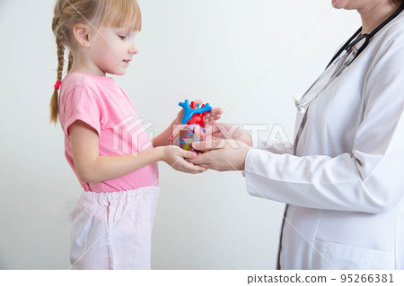 The doctor a pediatric cardiologist holds a model of a human heart in his hands and hands over to a little girl 5 years old. Pediatric Cardiology Concept The doctor a pediatric cardiologist holds a model of a human heart in his hands and hands over to a little girl 5 years old. Pediatric Cardiology Concept 95266381