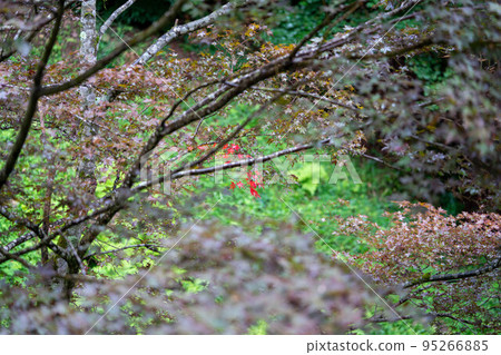 山形的立石寺,由芭蕉在奧之細道中所寫 山形的立石寺,由芭蕉在奧之細道中所寫 95266885