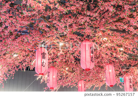 Japanese lantern under the cherry tree (translate text on the lantern reads "Good Luck") 95267157
