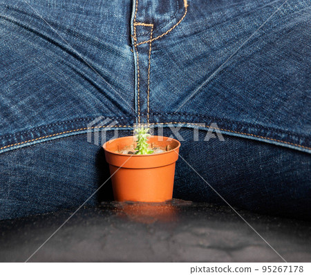 A small cactus in the groin of a man, close-up. The concept of treatment of impotence in men A small cactus in the groin of a man, close-up. The concept of treatment of impotence in men 95267178