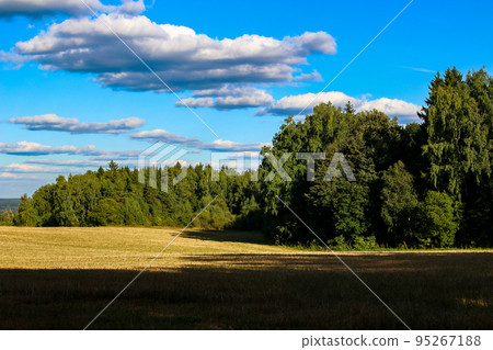 Beautiful summer country landscape with a view of a field, forest and white clouds on a blue sky 95267188