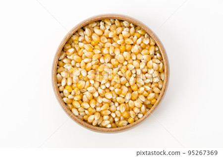 popcorn seeds dried corn 95267369