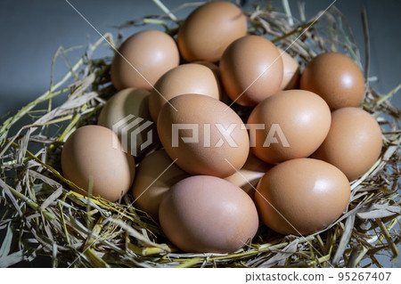 Close up of Many large eggs in the nest 95267407