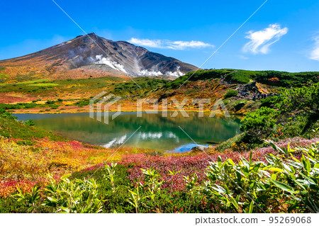 Colorful autumn leaves and clear blue sky around the pond seen at Asahidake in Daisetsuzan, Hokkaido in autumn Colorful autumn leaves and clear blue sky around the pond seen at Asahidake in Daisetsuzan, Hokkaido in autumn 95269068