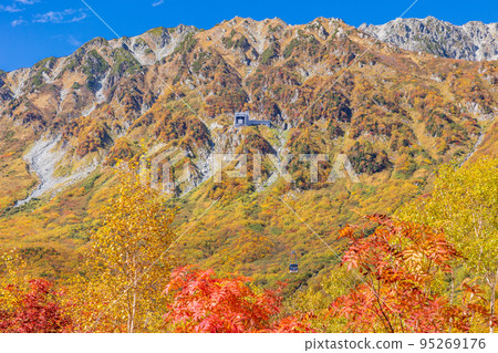 (Toyama Prefecture) Tateyama Kurobe Alpine Route, autumn leaves of Kurobedaira, ropeway view (Toyama Prefecture) Tateyama Kurobe Alpine Route, autumn leaves of Kurobedaira, ropeway view 95269176