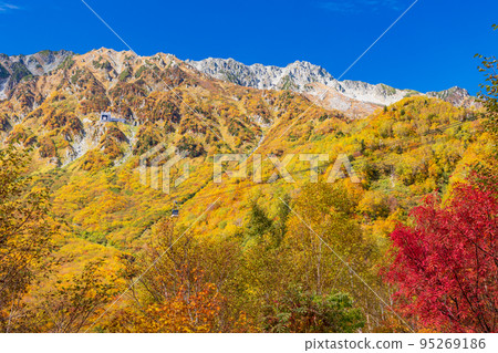 (Toyama Prefecture) Tateyama Kurobe Alpine Route, autumn leaves of Kurobedaira, ropeway view (Toyama Prefecture) Tateyama Kurobe Alpine Route, autumn leaves of Kurobedaira, ropeway view 95269186