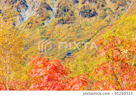 (Toyama Prefecture) Tateyama Kurobe Alpine Route, autumn leaves of Kurobedaira, ropeway view 95269323