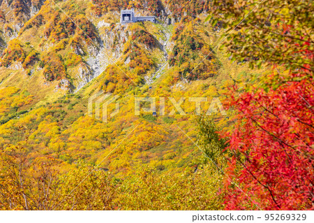(Toyama Prefecture) Tateyama Kurobe Alpine Route, autumn leaves of Kurobedaira, ropeway view 95269329