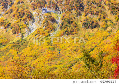 (Toyama Prefecture) Tateyama Kurobe Alpine Route, autumn leaves of Kurobedaira, ropeway view 95269331