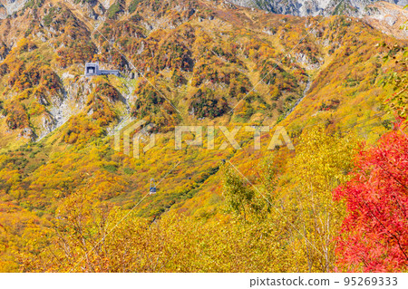 (Toyama Prefecture) Tateyama Kurobe Alpine Route, autumn leaves of Kurobedaira, ropeway view 95269333
