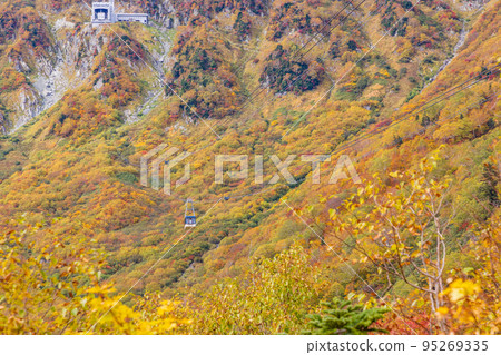 (Toyama Prefecture) Tateyama Kurobe Alpine Route, autumn leaves of Kurobedaira, ropeway view 95269335