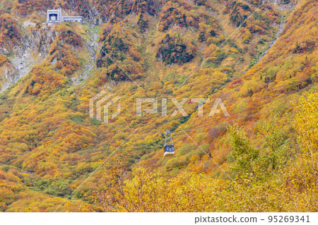 (Toyama Prefecture) Tateyama Kurobe Alpine Route, autumn leaves of Kurobedaira, ropeway view 95269341