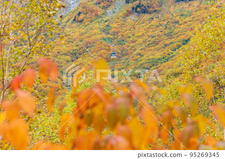 (Toyama Prefecture) Tateyama Kurobe Alpine Route, autumn leaves of Kurobedaira, ropeway view 95269345