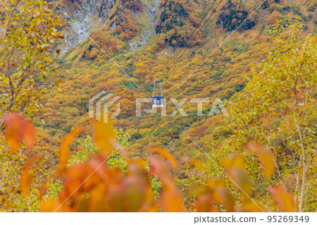 （富山縣）立山黑部阿爾卑斯山脈路線，黑部平的紅葉，索道景觀 95269349