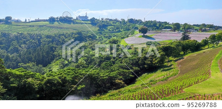 vivid natural scenery vivid natural scenery 95269788